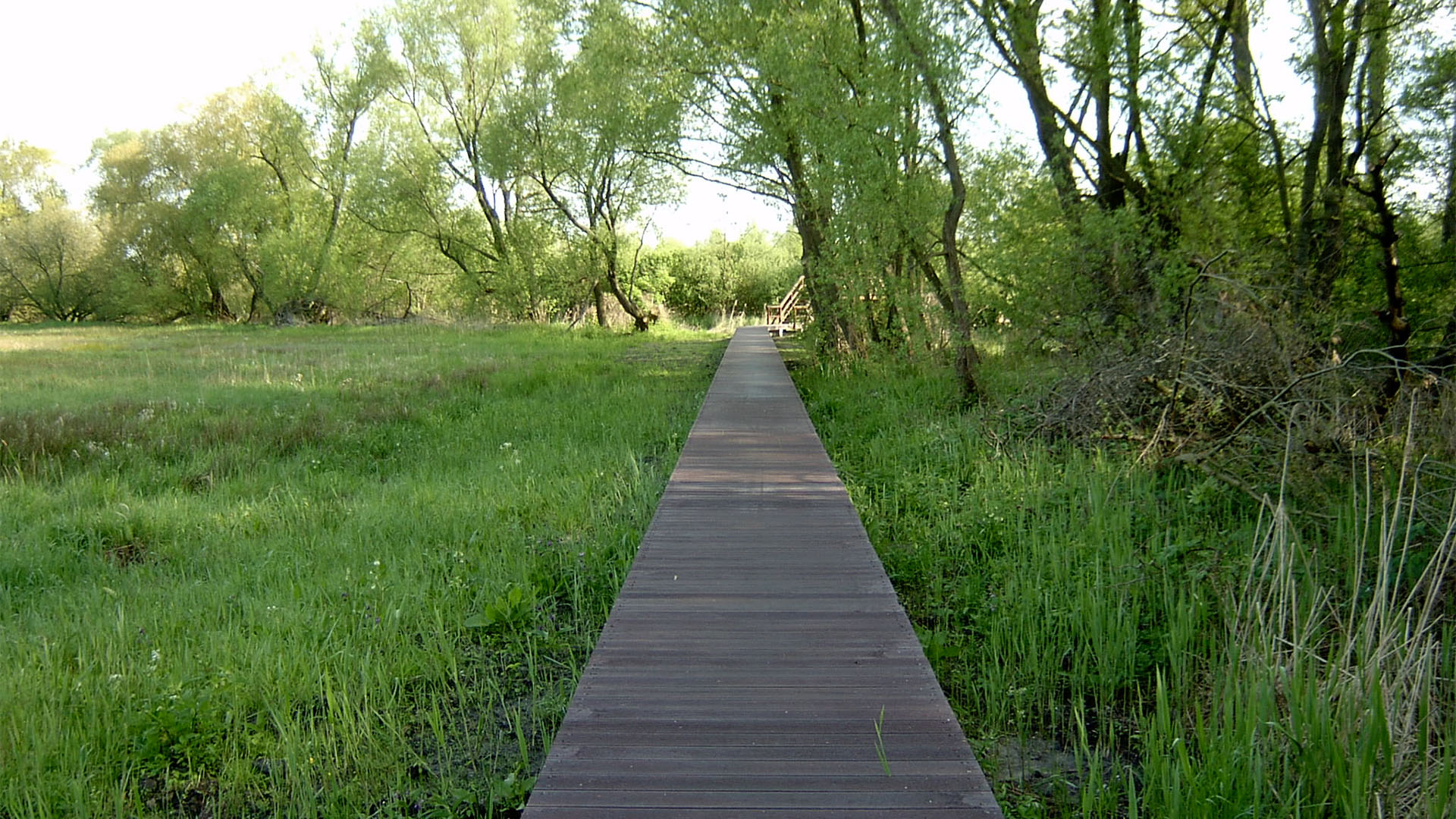 Tief_und_Wasserbau_Boblitz_Straßenbau_Radweg.jpg